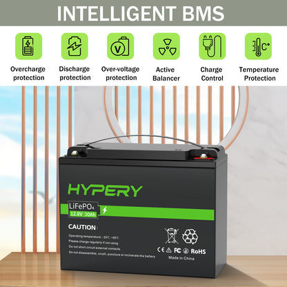 30Ah 12.8V LiFePO4 Lithium Battery BMS Deep Cycle For RV Solar Leisure Off-Grid