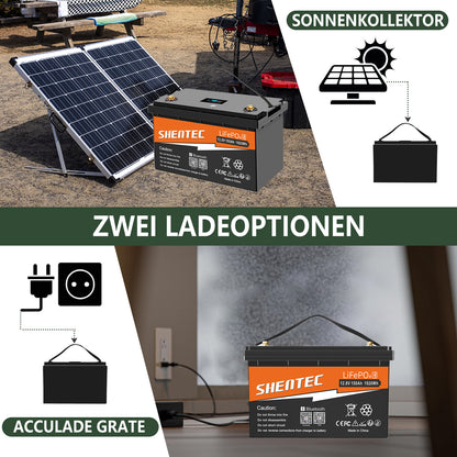SHENTEC 12/24V 100/150/200/300Ah LiFePO4 Battery With BMS For Solar Boat Off Grid RV