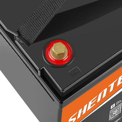 SHENTEC 12/24V 100/150/200/300Ah LiFePO4 Battery With BMS For Solar Boat Off Grid RV