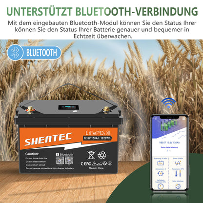 SHENTEC 12/24V 100/150/200/300Ah LiFePO4 Battery With BMS For Solar Boat Off Grid RV