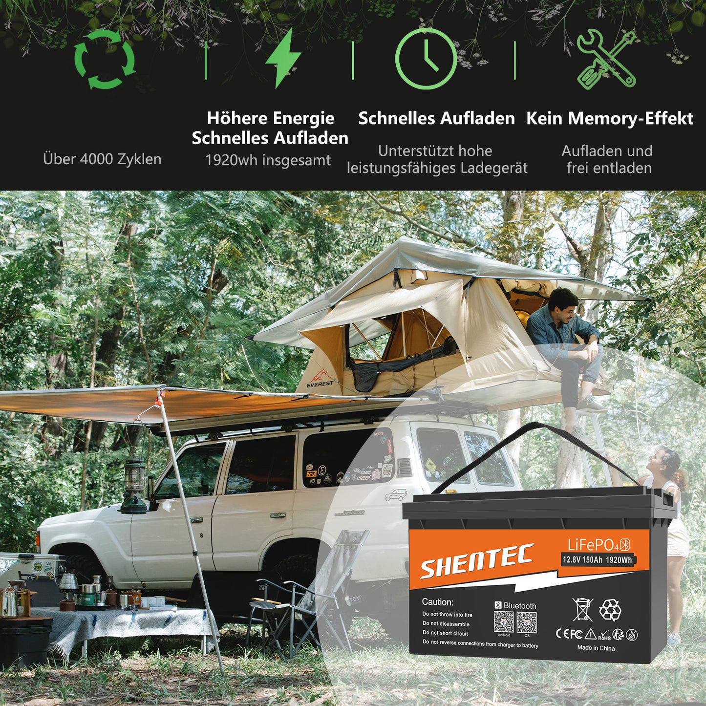 SHENTEC 12/24V 100/150/200/300Ah LiFePO4 Battery With BMS For Solar Boat Off Grid RV