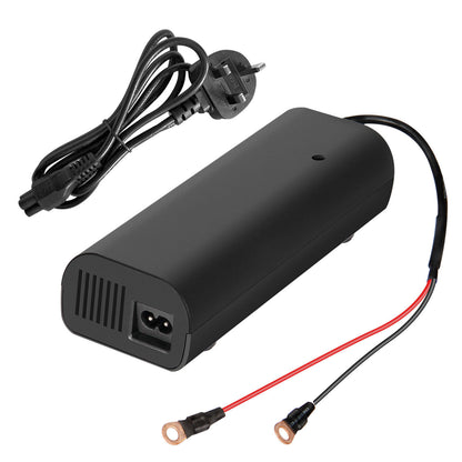SHENTEC 14.6V 20A LiFePO4 Battery Charger for 12V Lithium Iron Phosphate Batteries with M8 Terminals & Alligator Clips